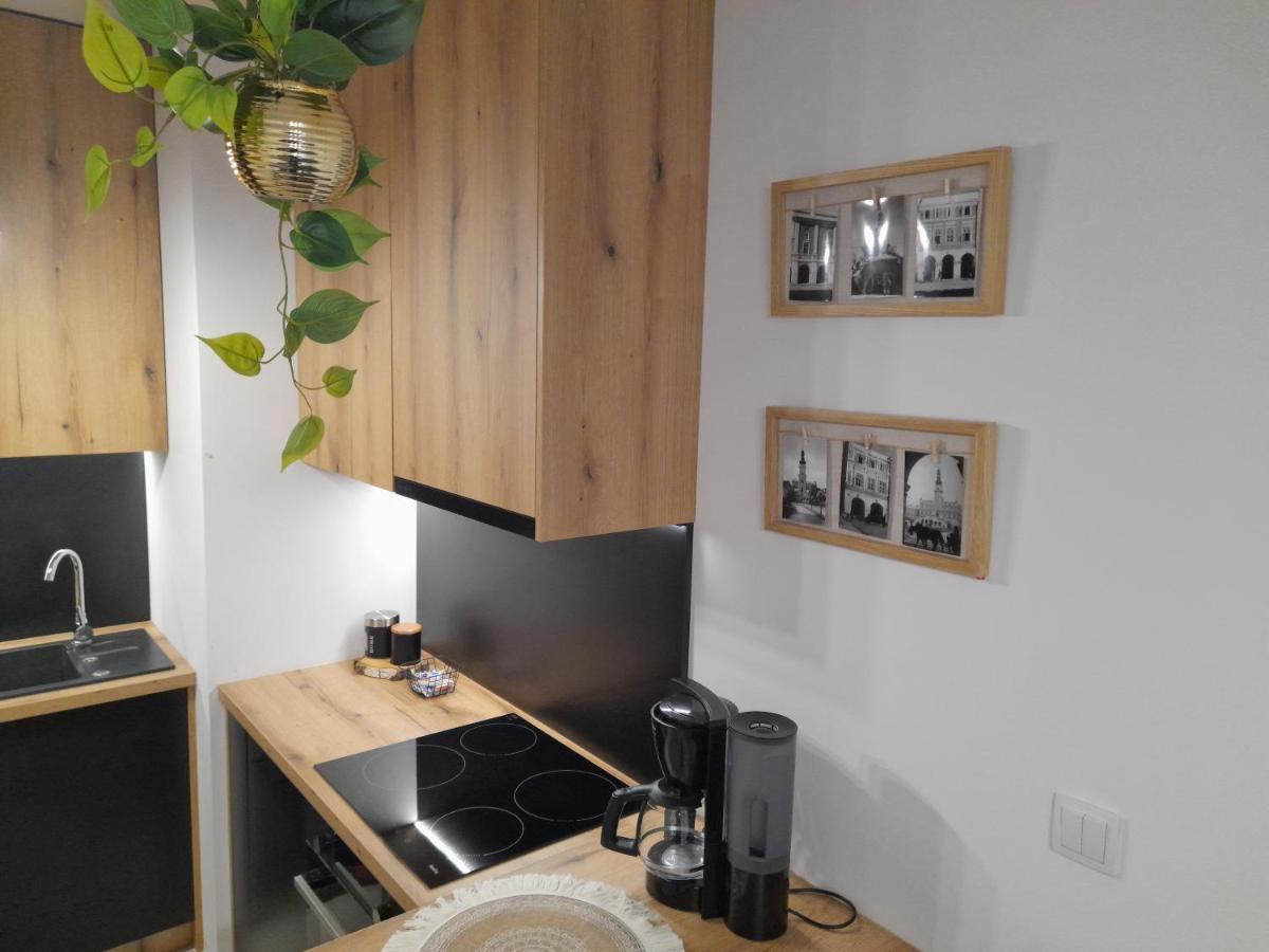 Apartament Amelia Zamość Exterior foto